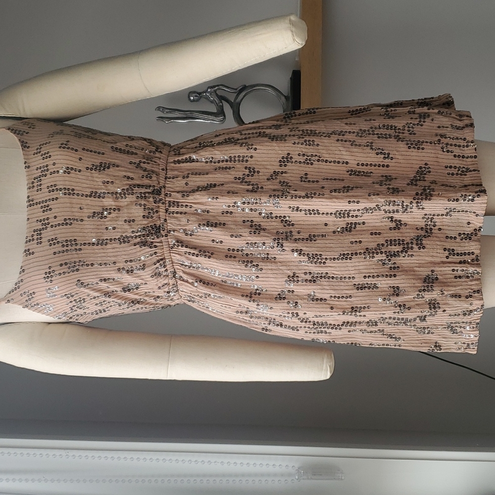 Sequin Dress ( medium)